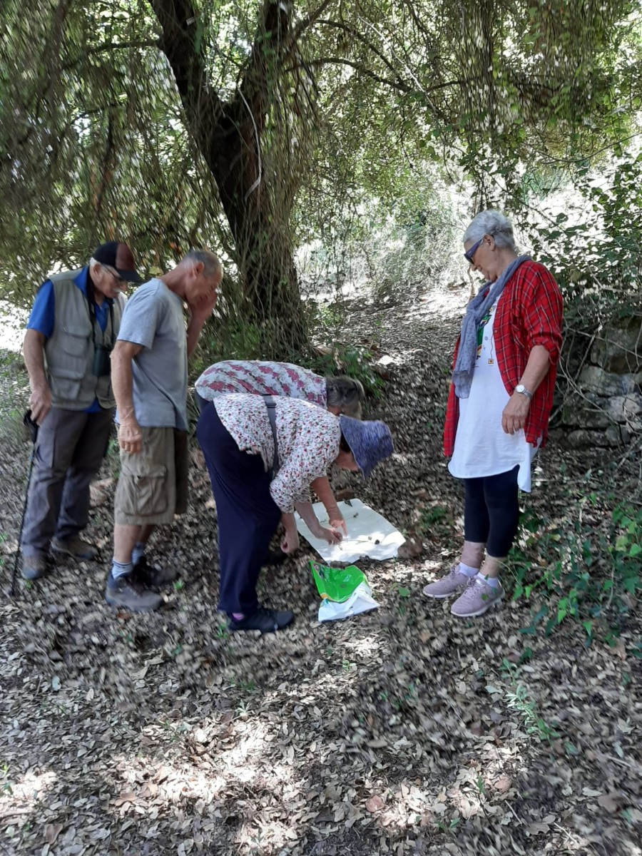 סדנה בטבע עם נעמה לינדמן יוני 2020