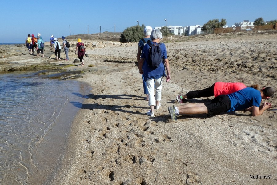 תמונות מסדנה בטבע עם נעמה לידמן  (במסגרת קורסים וסדנאות יהל תשפ"ב)